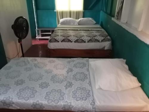 Amazona un pequeño mundo de corcobado serca del oceano