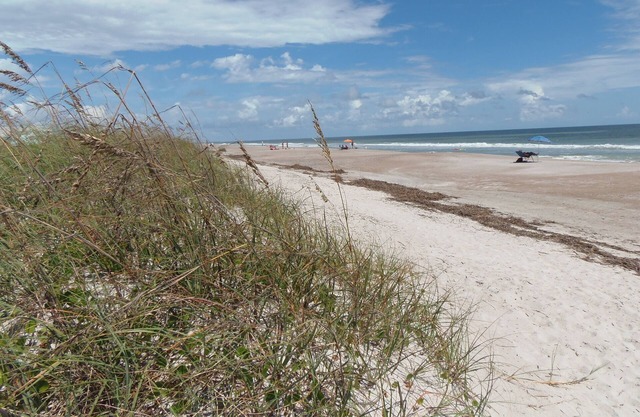 Amelia Island - Best Deal on the Beach - Pets Allowed