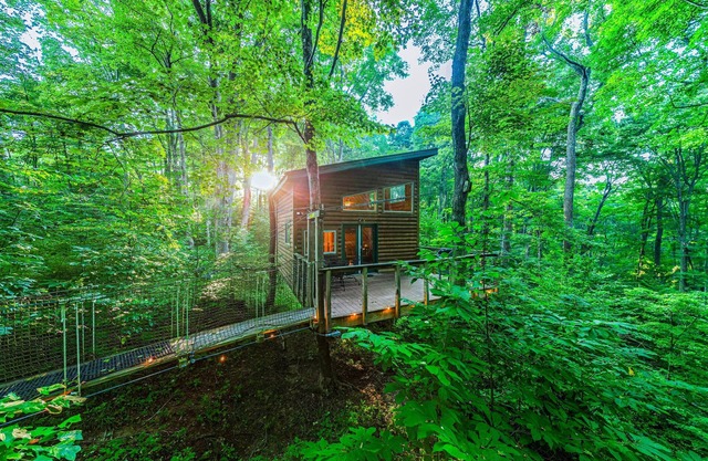 Among the Trees - The Library