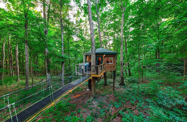 Among the Trees - The Nest