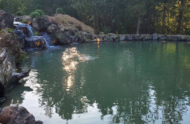 An Oasis Among the Redwoods