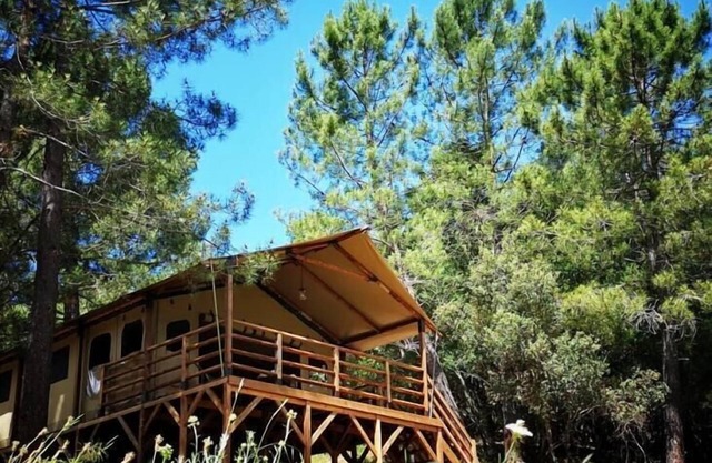 An unforgettable stay in Corsica - Lodge Alba Scel