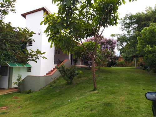 Ana Terra Barretos Casa de Campo