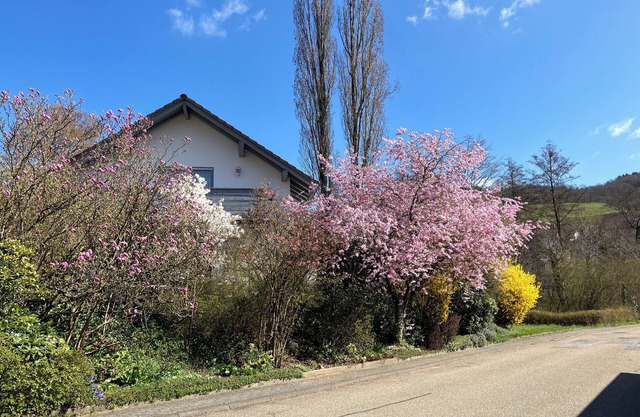 Anna's Beautiful Country-house