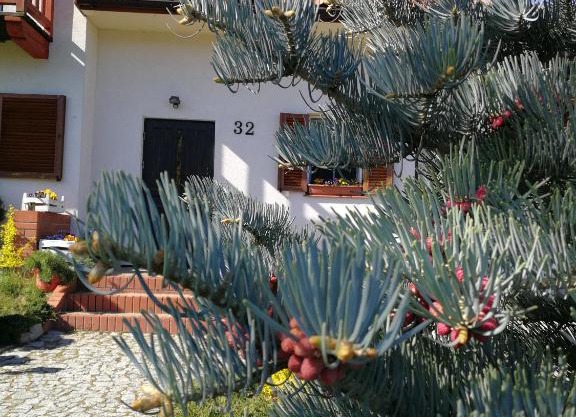 Apartament 32