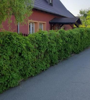 Apartament u Janiny