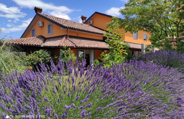 Apartma Lavanda