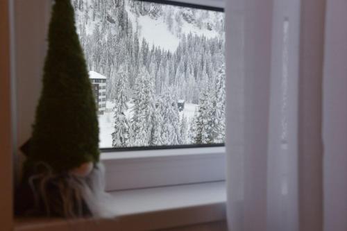 Apartman Bella Vista Jahorina - pogled na stazu