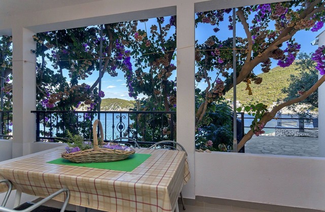 Apartment and Rooms Nikola (38301-A9) - Zastrazisce - island Hvar