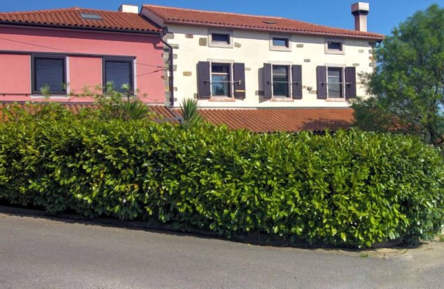 Apartment Apartment Himalaja in Marezige - 4 persons, 1 bedrooms