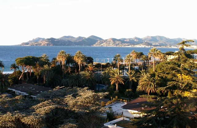 Apartment - Cannes - Seaside and panoramic view