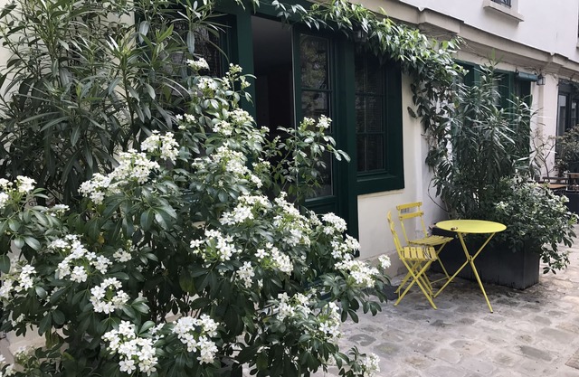 apartment courtyard with trees, in the heart of Paris