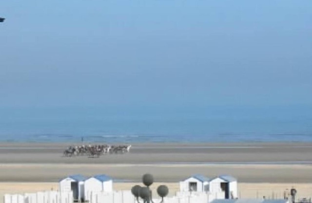 apartment/flat - La Panne
