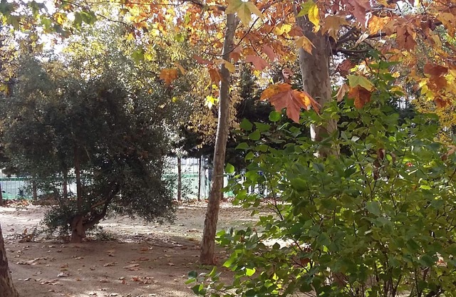 APARTMENT-IFEMA-AIRPORT-METROPOLITANO-TRANQUILITY