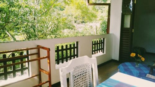 Apartment Nature View