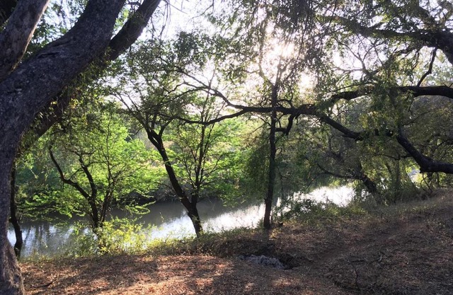 Apartment on the Olifants