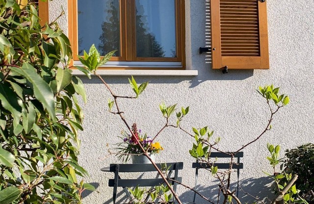 Apartment Palatina