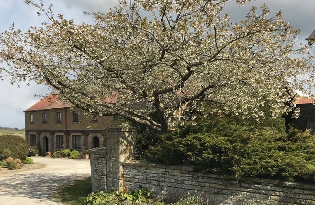 Apartment Valerian - Sunset Cottages