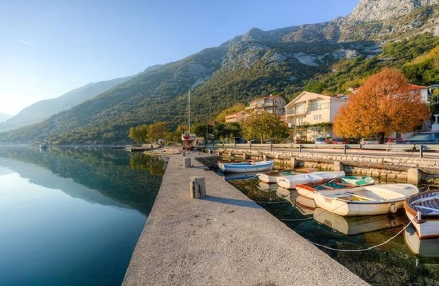 Apartment Villa Radovic 1
