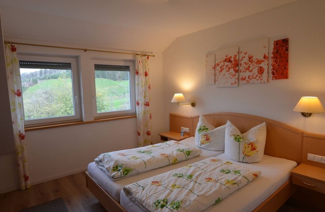 Apartment Wiesenblick-Panoramaferienwohnung