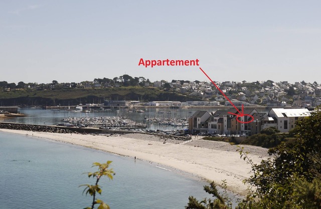 Apartment with sea view and pets welcome