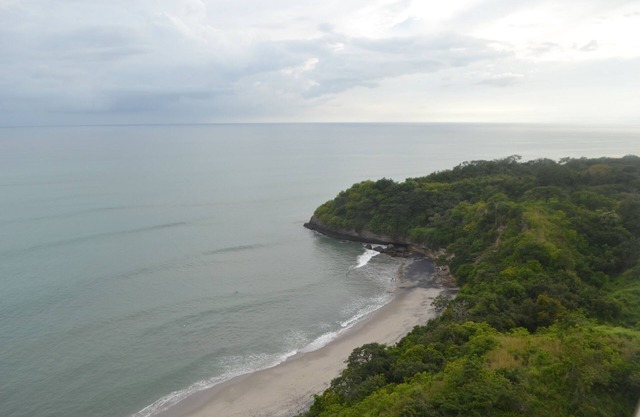 Apartments at El Palmar Residences