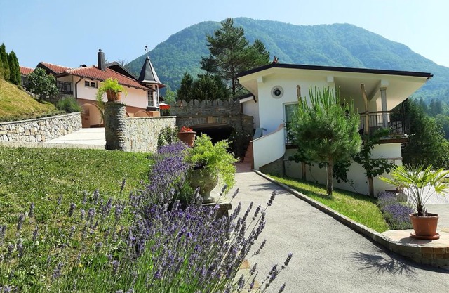 Apartments Reida