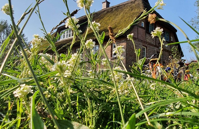 App Freterg Holt with fireplace (40m², 2-4 p.), near Binz in dreamlike location