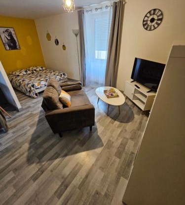 Appartements entiers proche Aéroport - ZAC Chesnes - CNPE du Bugey Check-In 24h7J