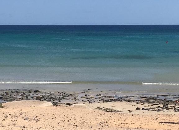 Appartment auf Sylt in Meeresnähe