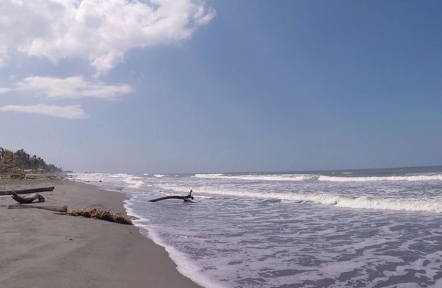 Apt 1st floor | beach and pool.