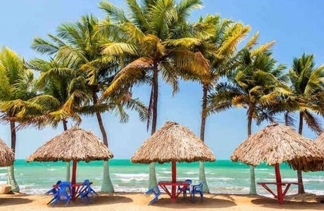 Apt in coveñas near the sea #202