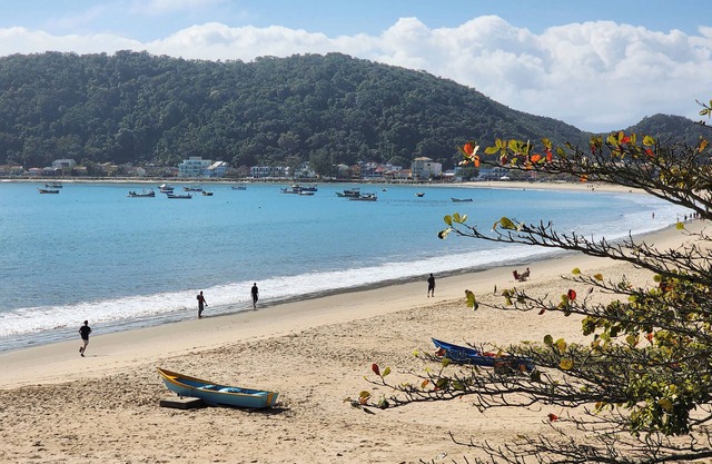 Apt moderno a 240 metros da praia DW6172