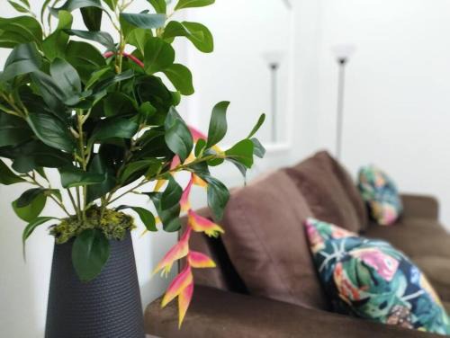 Apt Morpho Cas'Aguacate close to Airport, Pedregal, Centro Convenciones