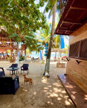 Aquarius Diving Club y Cabañas