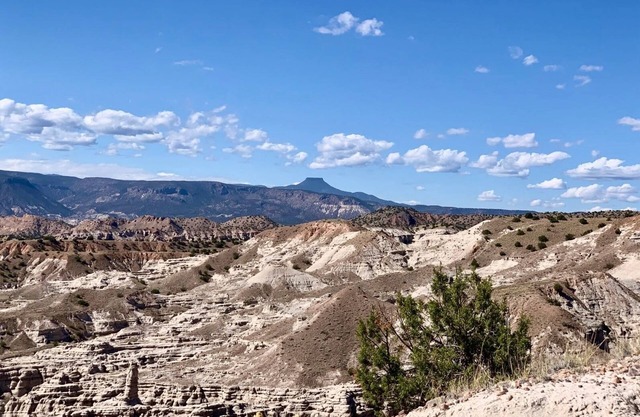 Architectural Jewel with WiFi and AC on Plaza Blanca in Abiquiu