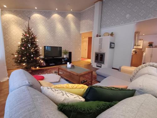 Arctic Villa-under the northernlights