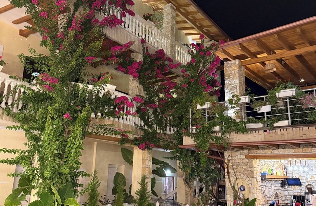 Arial Penthouse Suites