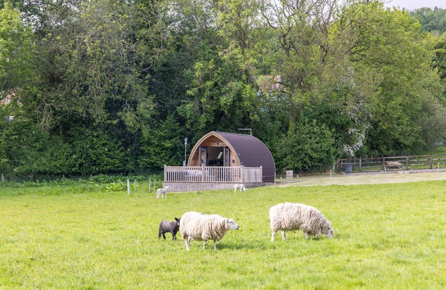 Ashberry Glamping Pod - sleeps 2