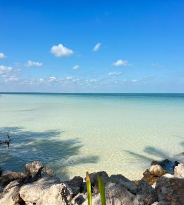 Atenea Holbox