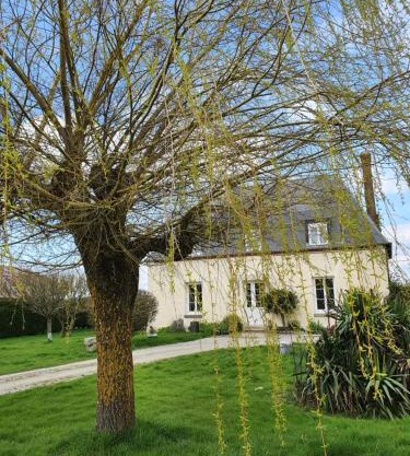 au Petit Paradis