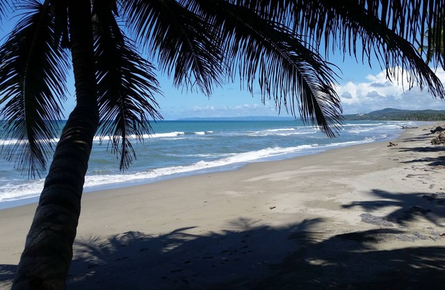 Authentic Beachfront Caribbean Hideaway-Crashing Surf, Palms, & Tradewinds!
