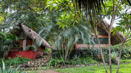 Ave de Montaña Cabañas