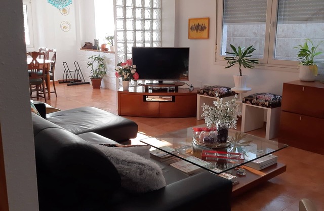 AVILEÑA TROPICAL EN AGUADULCE