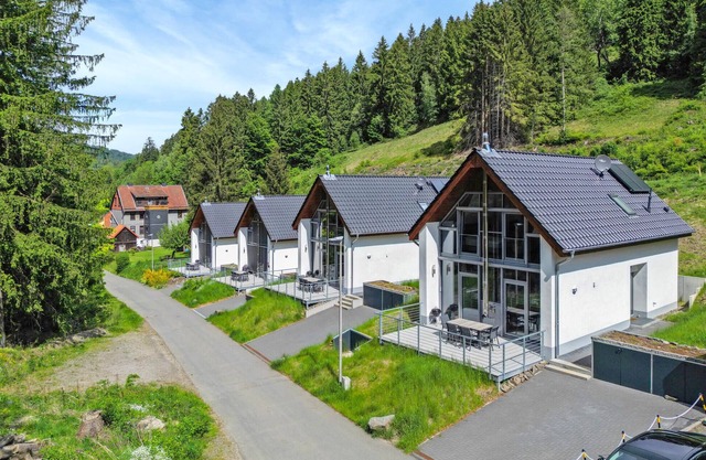 Awesome home in Lautenthal with sauna