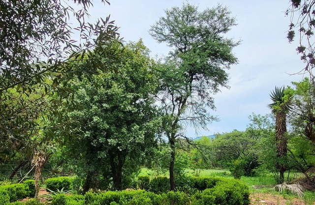 Awoken House of Consciousness - Peaceful & tranquil, curated for wellnes & rest.