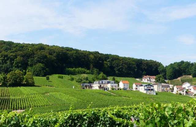 B&B en Champagne