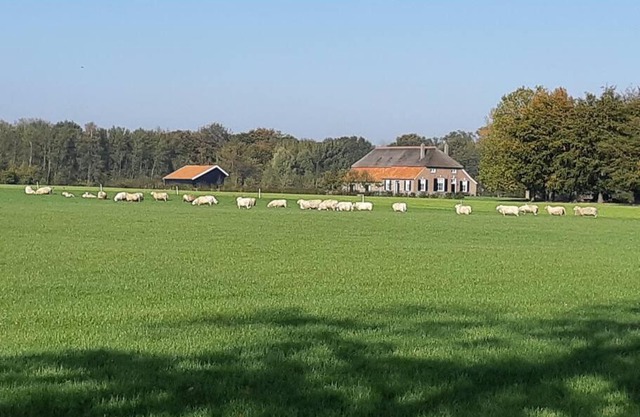B&B Joostink in Vorden