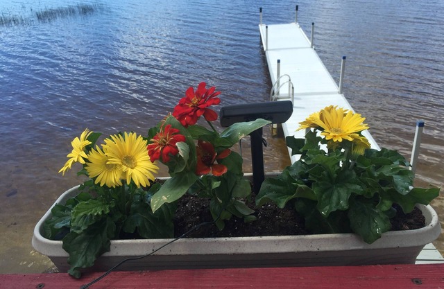 Back Of The Moon Cootage