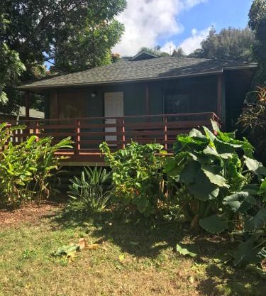 Backpackers Vacation Inn and Plantation Village